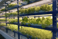 加之政策的鼎力搀扶