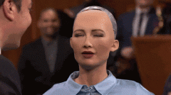 比来还有另一个世界的动静：Facebook人工智能研究